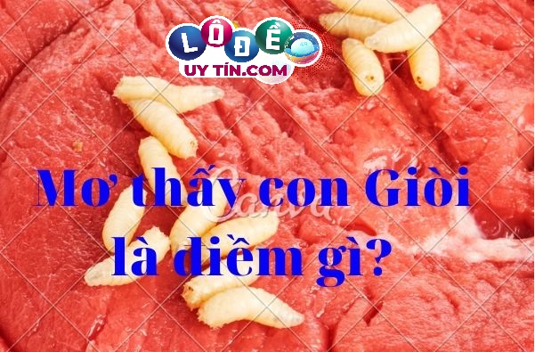 Nằm mơ thấy dòi có ý nghĩa gì? Điềm báo về con số chính xác