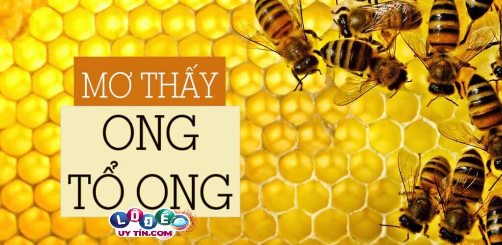 Điềm báo mơ thấy tổ ong bật mí điều gì? Đánh số gì bất bại? 1 Điềm báo mơ thấy tổ ong bật mí điều gì? Đánh số gì bất bại?