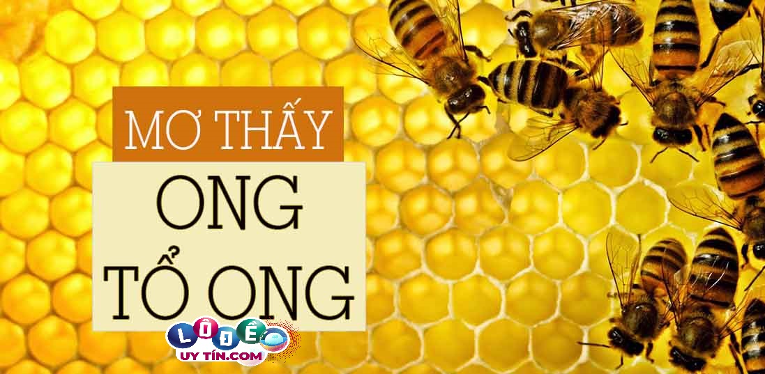 Điềm báo mơ thấy tổ ong bật mí điều gì? Đánh số gì bất bại?