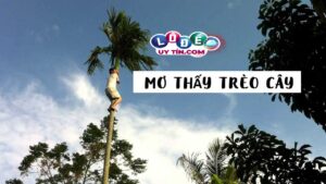 Giải mã giấc mơ trèo cây đầy đủ, chi tiết? Đánh con gì dễ ăn