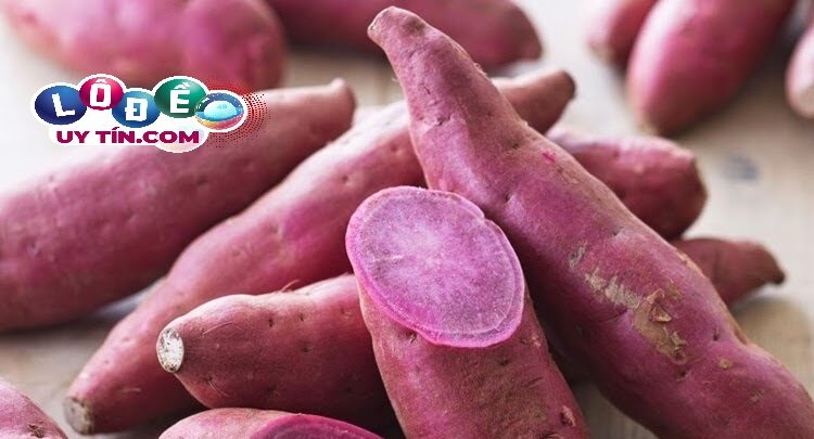 Nằm mơ thấy khoai lang có phải điểm tốt? Đánh con gì đẹp