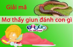 Chiêm bao mơ thấy giun đánh con gì? Giải mã hiện tượng kì bí