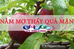 Chiêm bao mơ thấy quả mận đánh con gì? Giải mã điềm báo