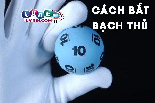 Tổng hợp số bạch thủ lô vip chính xác từ các chuyên gia từ nhà cái uy tín