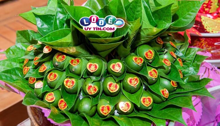 Mơ thấy quả cau đánh con gì dễ ăn? Giải mã giấc mơ 3 Mơ thấy quả cau đánh con gì dễ ăn? Giải mã giấc mơ 1