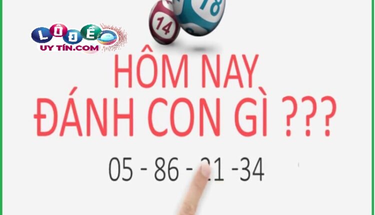 Thủ thuật bắt lô miền Trung theo cầu ngày
