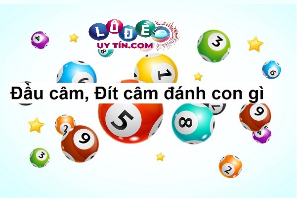 Cách đánh lô khi gặp đầu câm?
