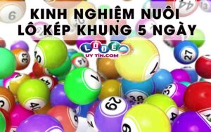 Cách nuôi lô kép khung 5 ngày chuẩn và chính xác nhất