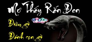 Mơ thấy rắn đen trắng đánh con gì và ý nghĩa giấc mơ
