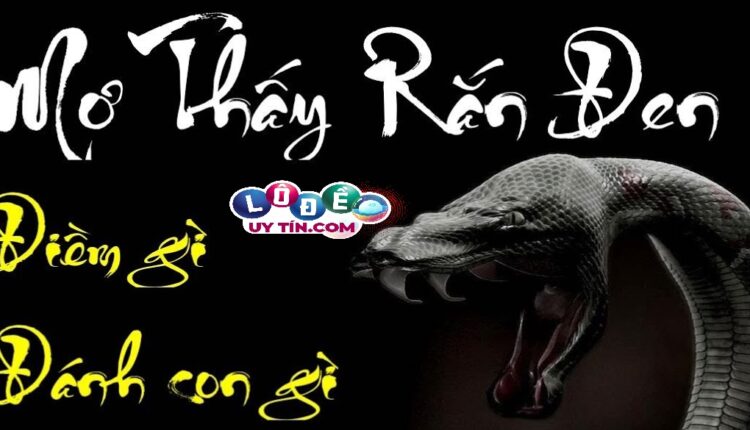 Mơ thấy rắn đen trắng đánh con gì và ý nghĩa giấc mơ 2 Mơ thấy rắn đen trắng đánh con gì và ý nghĩa giấc mơ