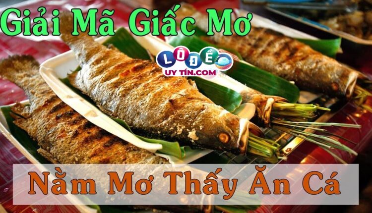 Giải mã giấc mơ thấy ăn cá - Mơ thấy ăn cá nên đánh con gì 2 Giải mã giấc mơ thấy ăn cá - Mơ thấy ăn cá nên đánh con gì