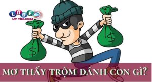 Nằm mơ thấy ăn trộm báo hiệu điềm gì, đánh con gì?