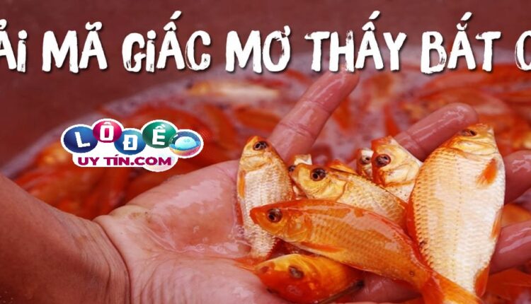 Giải mã mơ bắt được cá đánh con gì, là điềm gì 2