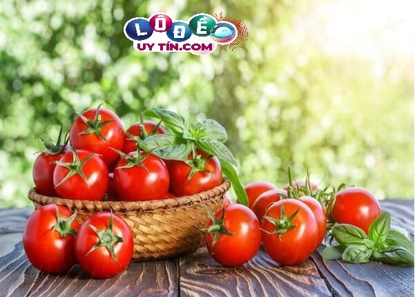 Chiêm bao thấy ăn cà chua báo hiệu tài lộc trong sổ mơ lô đề