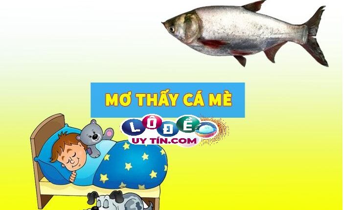 Mơ thấy cá mè đánh số mấy dễ trúng nhất, có ý nghĩa gì 1