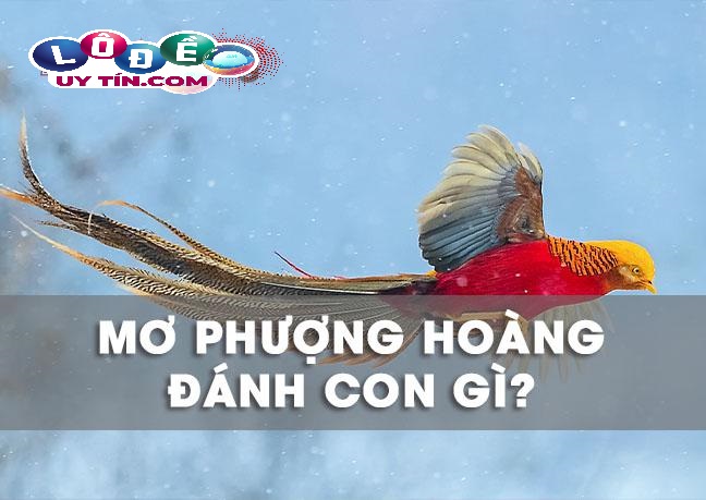 Mơ thấy chim phượng hoàng có ý nghĩa gì, đánh số mấy