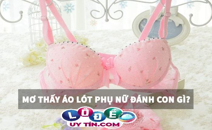 Giải mã giấc mơ - Mơ thấy áo lót phụ nữ đánh con gì? 3 Giải mã giấc mơ - Mơ thấy áo lót phụ nữ đánh con gì 1