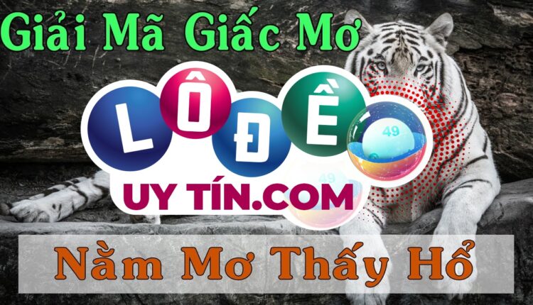 Giải mộng giấc mơ thấy hổ đánh số gì? Tìm hiểu ý nghĩa về hổ 3 Giải mộng giấc mơ thấy hổ đánh số gì 1