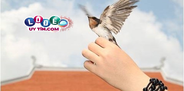 Nằm mơ thấy phóng sinh là điềm báo gì 2