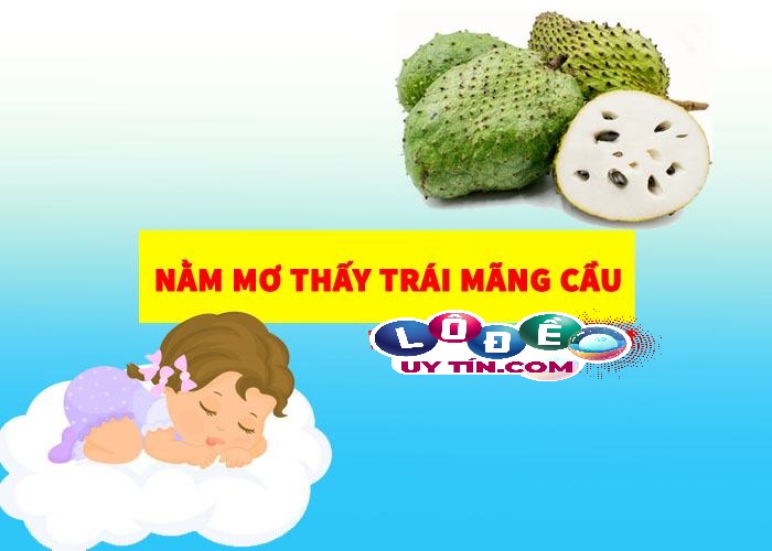 Chiêm bao mơ thấy trái mãng cầu đánh con gì trúng lớn 1