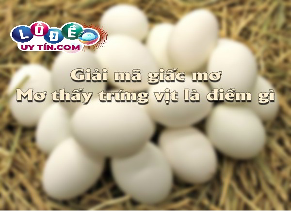 Giải mã giấc mơ thấy trứng vịt lộn là điềm báo tốt hay xấu? 1 Giải mã giấc mơ thấy trứng vịt lộn là điềm báo tốt hay xấu?