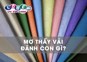Chiêm bao mơ thấy vải đánh số mấy? Bật mí ý nghĩa thú vị
