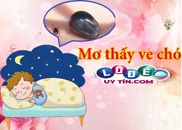 Mơ thấy ve chó là điềm báo gì 