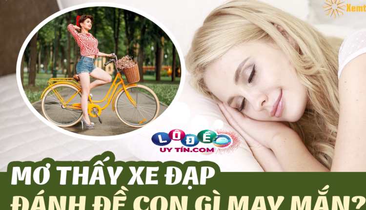 Mơ xe đạp bị hỏng đánh con gì trong lô đề
