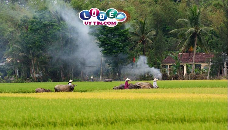 Nằm mơ về quê đánh con gì, là điềm báo gì? 2 Nằm mơ về quê đánh con gì, là điềm báo gì 1