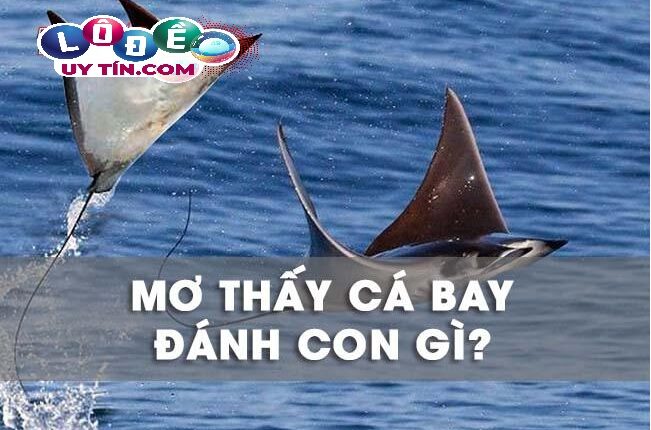 Nằm mơ thấy cá biết bay là tốt hay xấu, con số nào cho bạn? 2 Nằm mơ thấy cá biết bay là tốt hay xấu, con số nào cho bạn