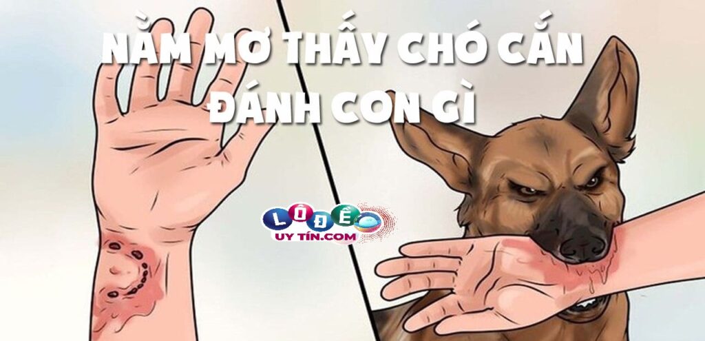 Mơ thấy chó cắn là điềm gì, đánh con gì dễ trúng nhất? 1 Mơ thấy chó cắn là điềm gì, đánh con gì dễ trúng nhất?