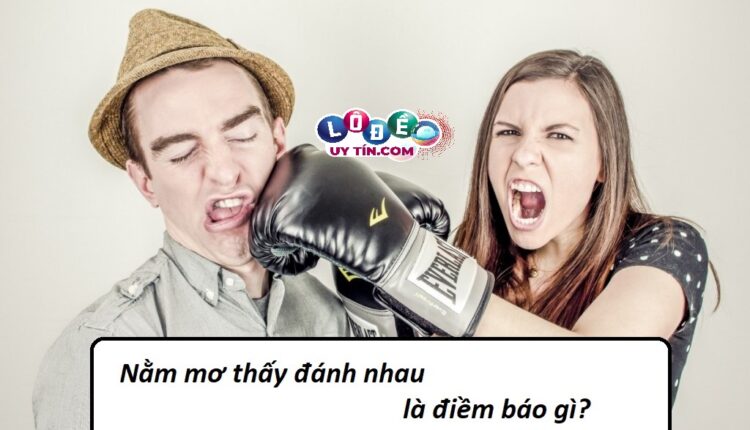 Mơ thấy vợ chồng đánh nhau đánh con gì, điềm báo gì? 2 chuyên gia kinh nghiêm soi cầu xổ số trực tiếp - Mơ thấy vợ chồng đánh nhau đánh con gì, điềm báo gì?