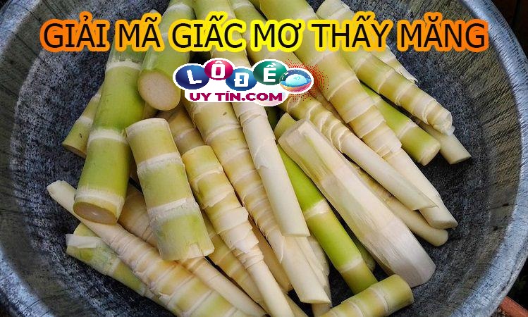 Chiêm bao mơ thấy măng đánh con gì? Giải mã ý nghĩa giấc mơ 2 Chiêm bao mơ thấy măng đánh con gì