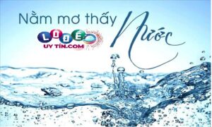 Nằm mơ thấy nước đánh đề con gì - Điều ẩn chứa bên trong giấc mơ