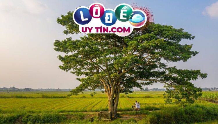 Nằm mơ thấy cây cối là điềm báo gì, đánh số gì? 3 nằm mơ thấy cây cối là điềm báo gì - cây lá cành xanh tươi