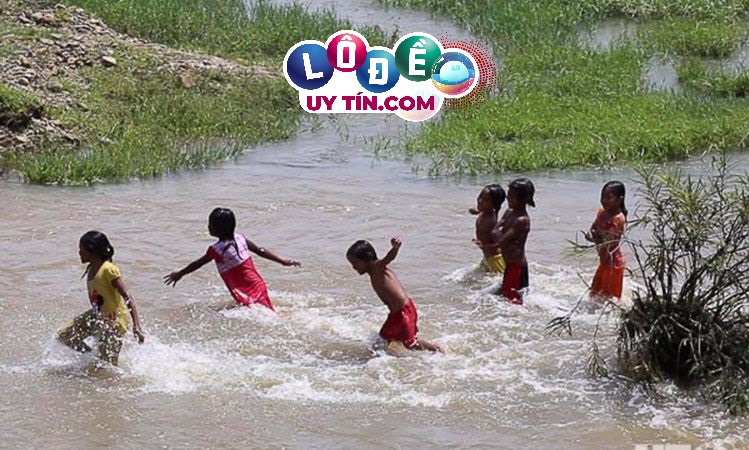 Mơ thấy quạ đen có phải điềm xui xẻo? Nên đánh con gì tốt 1
