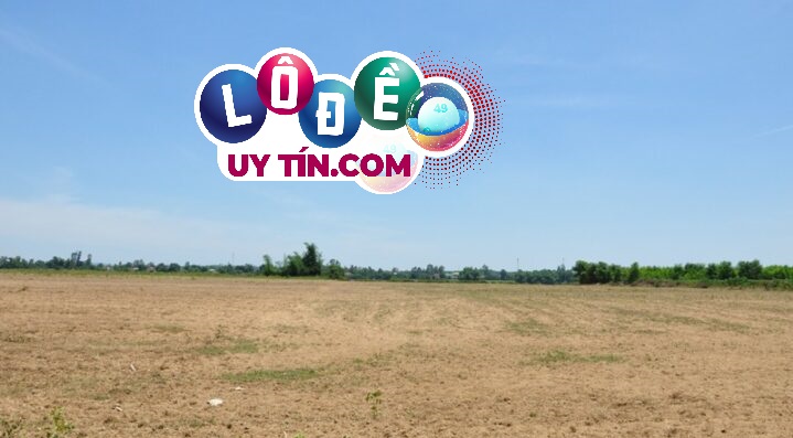 mơ thấy đất đai đánh con gì, là điềm gì