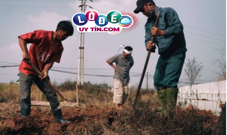 Mơ thấy bốc mộ có ý nghĩa gì, đánh con gì ăn? 4 Mơ thấy bốc mộ có ý nghĩa gì, đánh con gì ăn 2
