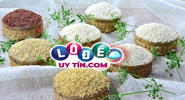 Giải mã mơ thấy gạo là điềm gì, đánh con gì phát tài? 4 Giải mã mơ thấy gạo là điềm gì, đánh con gì phát tài 2