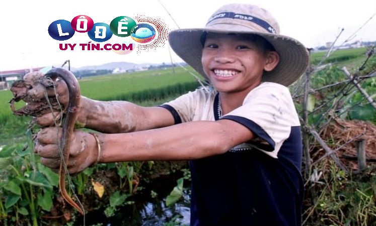 Mơ thấy lươn đánh con gì chuẩn nhất? Giải mã giấc mơ 2