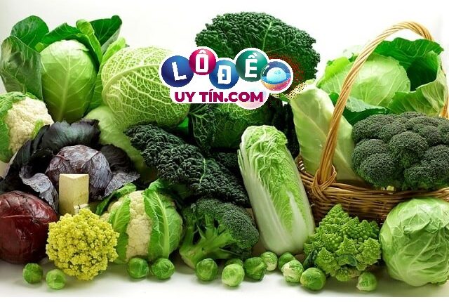 Nằm mơ thấy rau cải đánh con gì, có ý nghĩa gì? 3 Nằm mơ thấy rau cải đánh con gì, có ý nghĩa gì 1