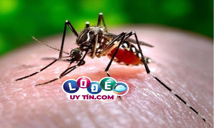 Giải đáp mơ thấy côn trùng, sâu bọ điềm gì, đánh con gì