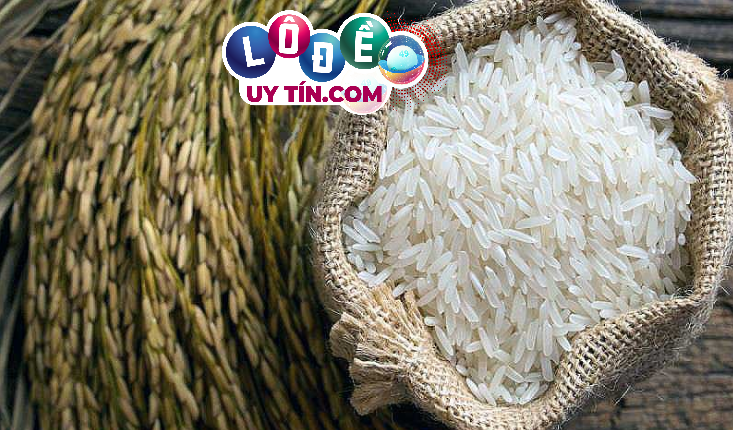 Giải mã mơ thấy gạo là điềm gì, đánh con gì phát tài? 3 Giải mã mơ thấy gạo là điềm gì, đánh con gì phát tài 2