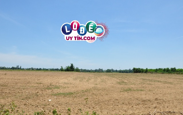 Mơ thấy cuốc đất là điềm báo gì, đánh con số gì 2