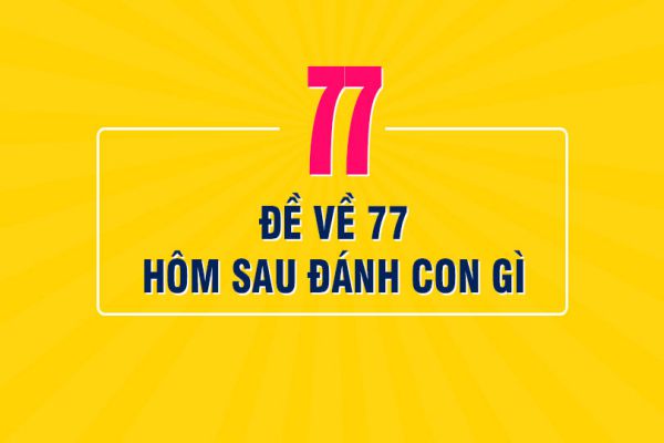de-ve-77-hom-sau-danh-con-gi-1