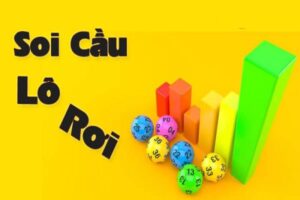 soi-cau-lo-roi-1