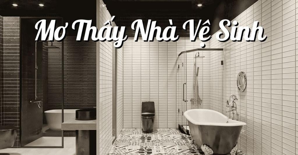 Gợi ý số đề may mắn khi mơ thấy chuồng xí