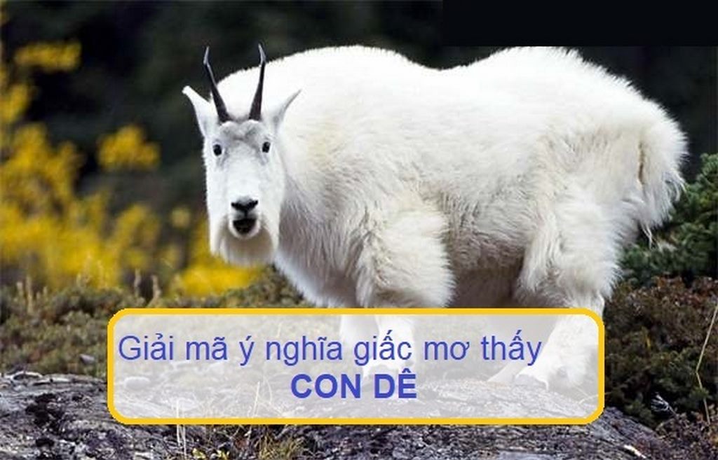 Mơ Con Dê – Trường Hợp Này Nên Đánh Con Gì Dễ Trúng?
