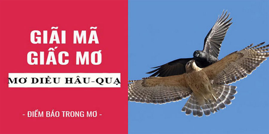 Mơ Diều Hâu – Điềm Báo Tốt Xấu Và Dự Đoán Con Số May Mắn
