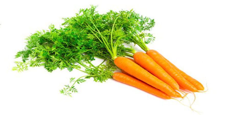 Mơ thấy củ cà rốt, củ khoai, củ su hào thì đánh con gì dễ trúng nhất?